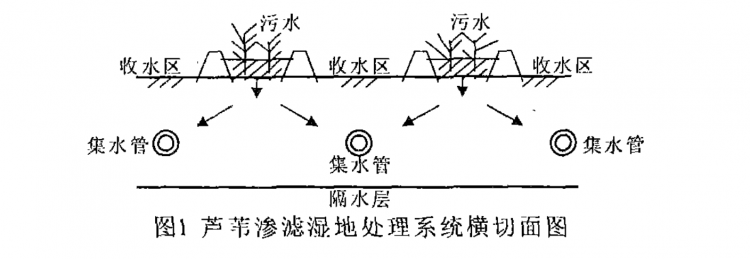 農(nóng)村生活污水處理技術(shù)探討